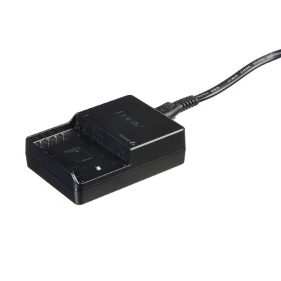 Зарядний пристрій Panasonic DMW-BTC10E